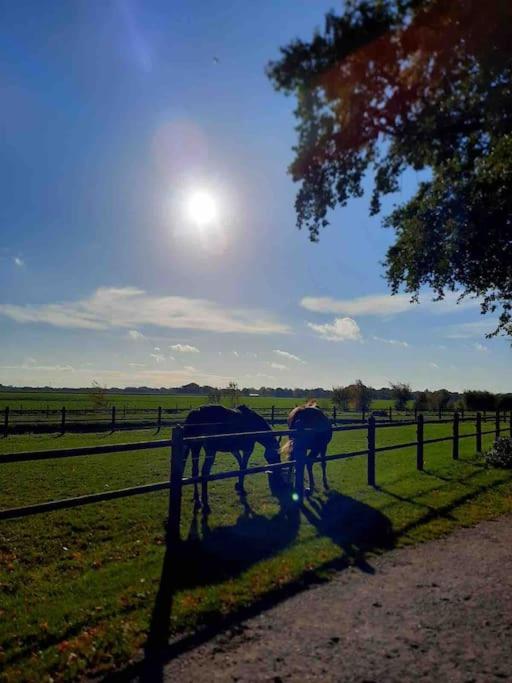 Linderhuisje, Rust, Ruimte, Privacy En Natuur Exteriör bild