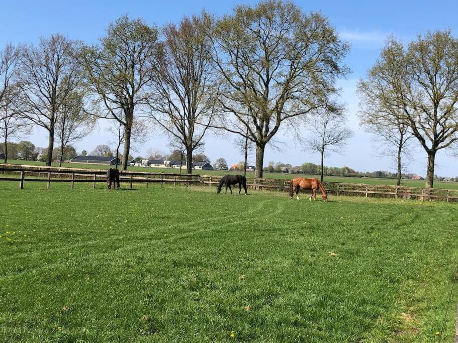 Linderhuisje, Rust, Ruimte, Privacy En Natuur Exteriör bild